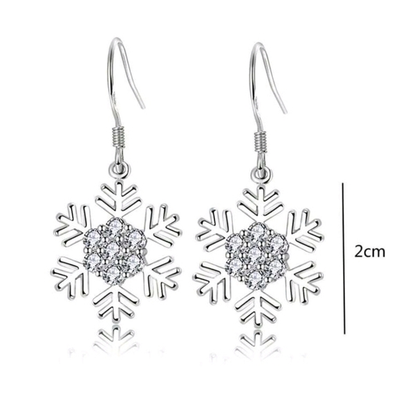 Elegant Silver Snowflake Earrings - Picture 5 of 5